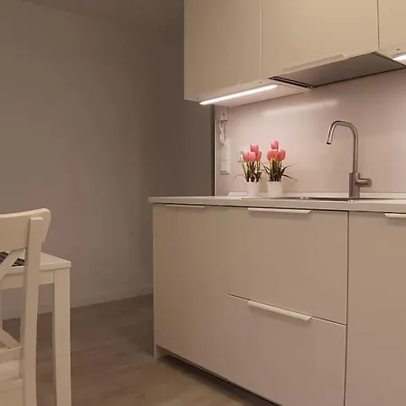 Apartment Lovinburgos Amaras Y Volveras Burgos