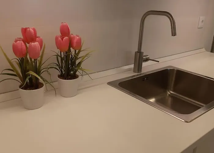 Lägenhet Lovinburgos Amaras Y Volveras Burgo